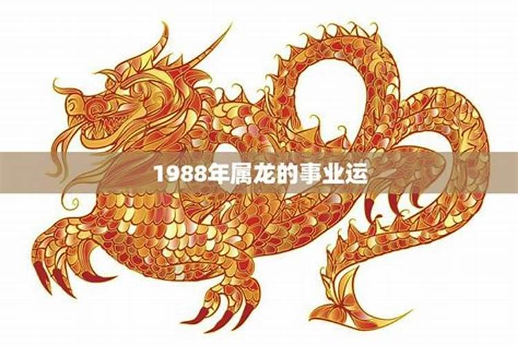 1988年属龙人2024年如何旺事业