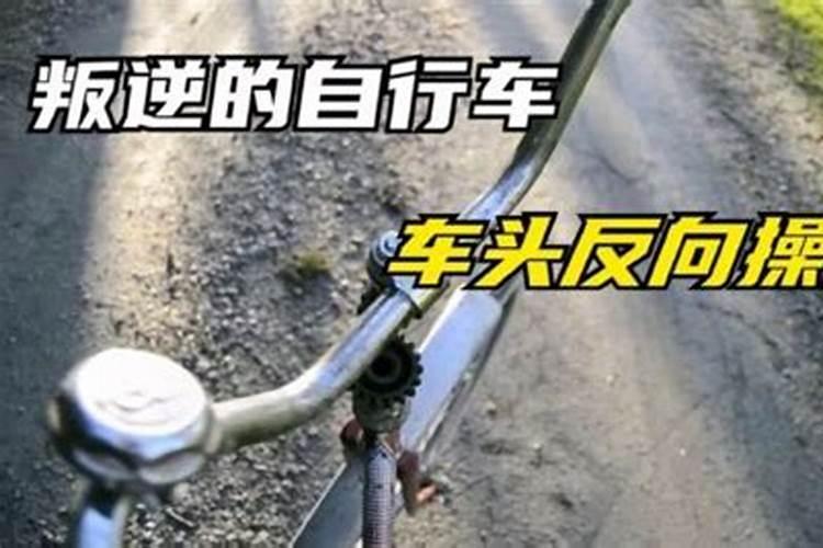 83年11月的猪是什么命 83年猪40岁后十年大运运程