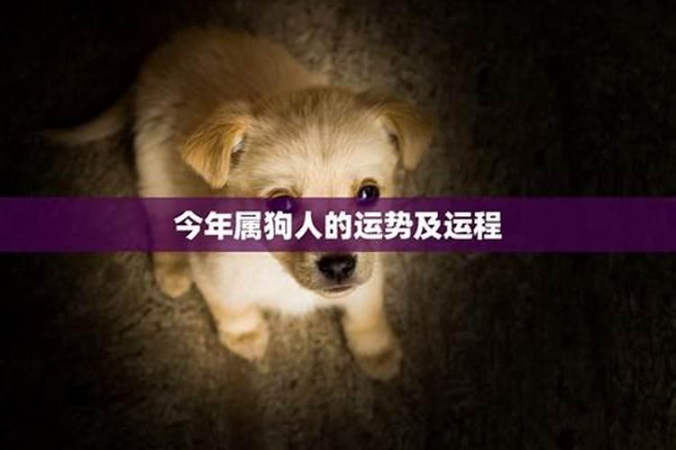 属蛇天蝎座女生性格特点