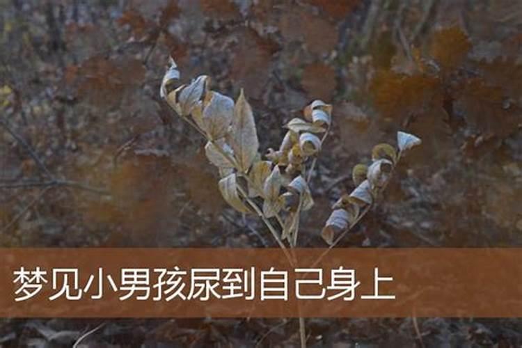 梦见小男孩撒尿是什么意思