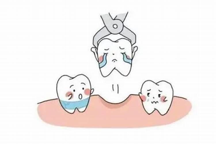 梦见自己掉牙无痛无血
