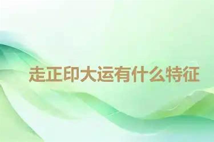 76年属龙2025年每月运程
