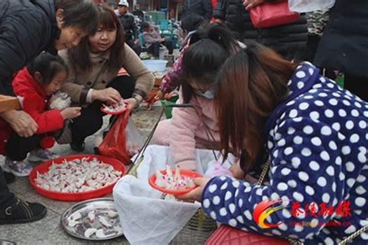 82年女狗2025农历年运势及运程每月运程