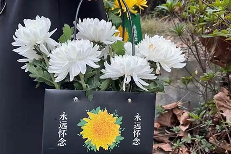 辽宁鞍山这个城市怎么样？