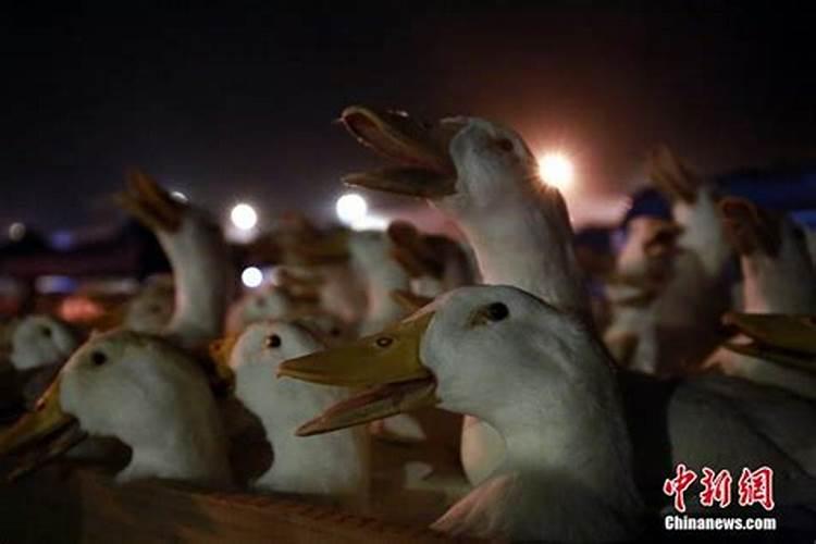 七月十四鬼节吃什么