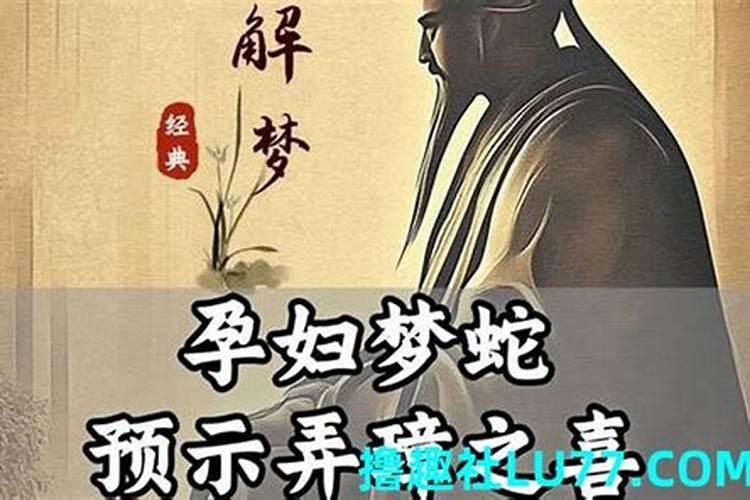 同房后梦到蛇是胎梦吗,同房后梦见蛇会怀孕吗