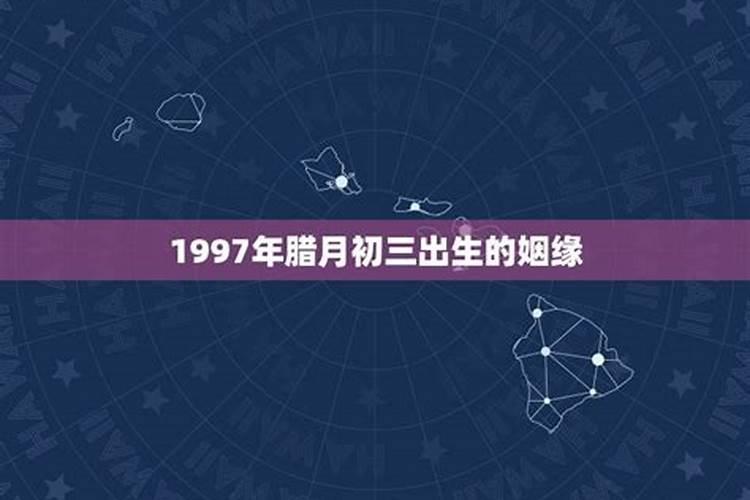 1995年腊月14日算命