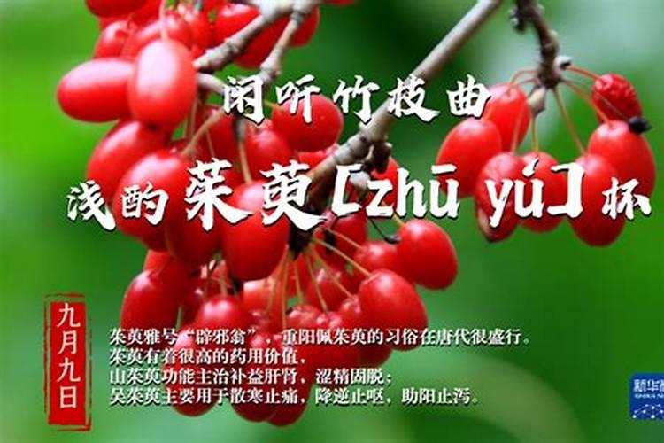 小学二年级关于冬至的手抄报素材
