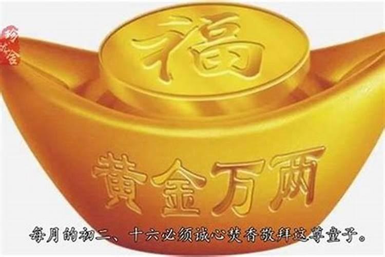 2006属狗的几月最差2024