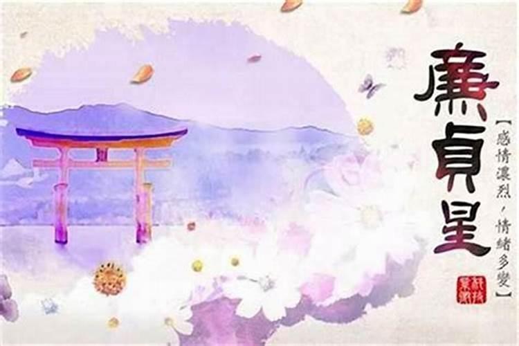 端午节有什么风俗和传统