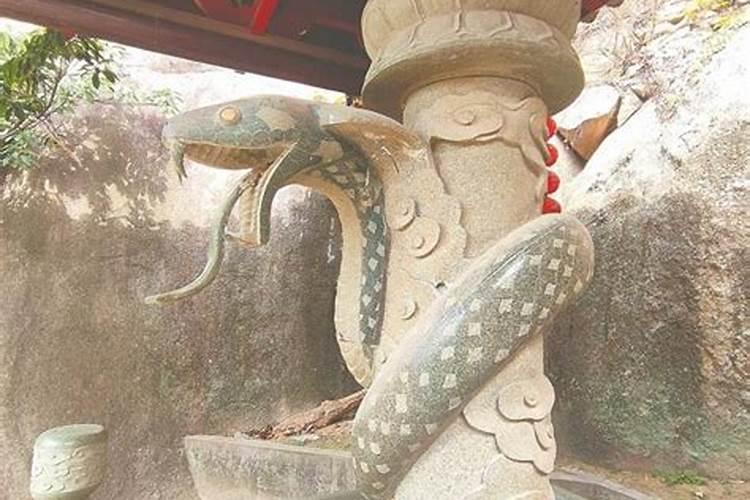 什么财神最旺属蛇的人