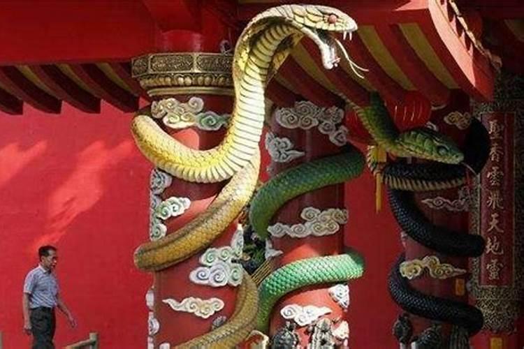 属蛇财神摆放什么位置最旺