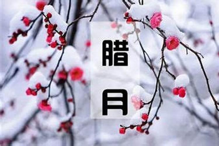 立冬是冬至吗 立冬和冬至的区别介绍