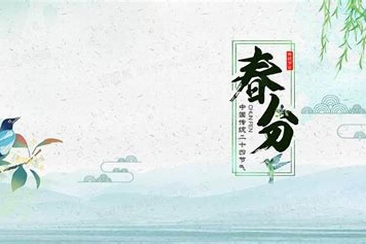 属鼠犯太岁的年份