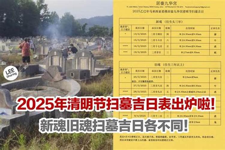 生肖羊1991年2025年运势如何 生肖羊1991年2025年全年运势