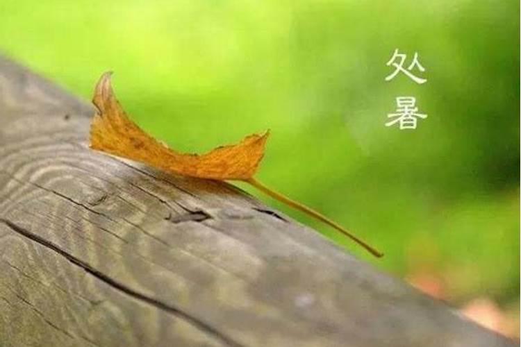 请问中国的24个节气是几月份的第几天