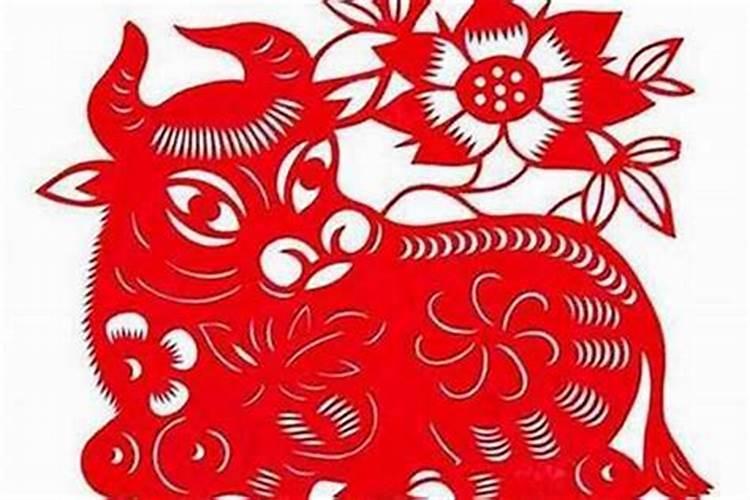 属牛的和什么属相相冲,相合,和相刑的？