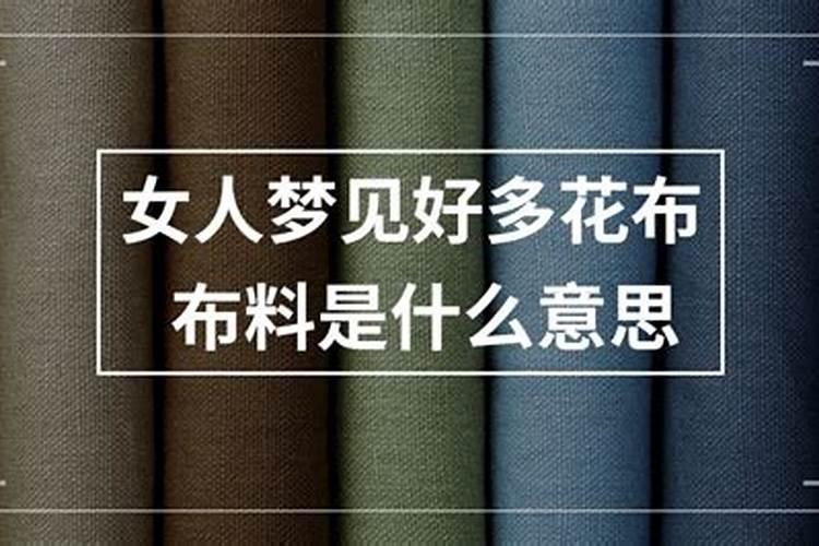 2025年属狗的犯太岁吗