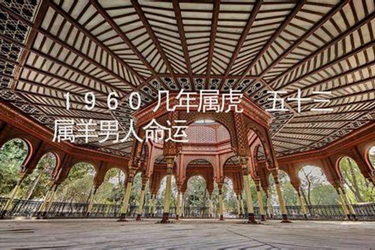 1960年属鼠男2024年运势及每月运程详解