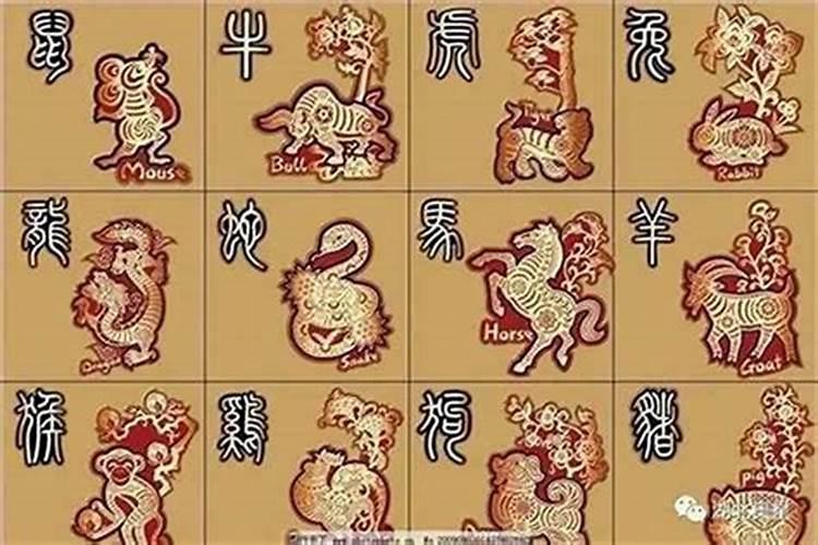 买金货注意什么