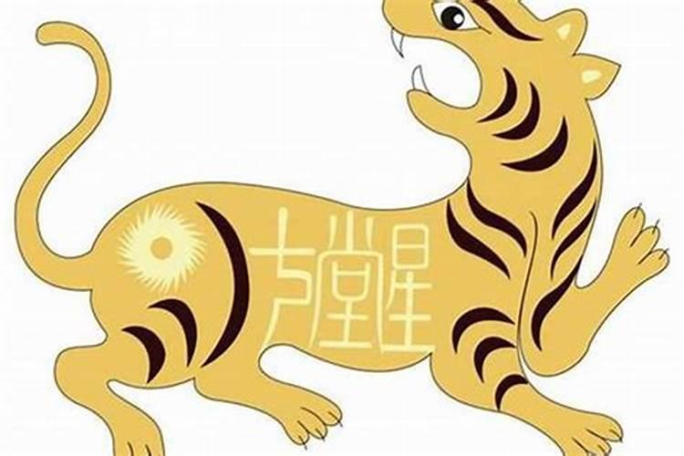 属虎的人哪年犯太岁在猴年和蛇年犯太岁？
