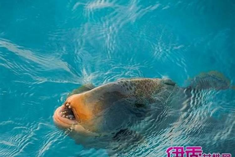 算命看哪几种命好
