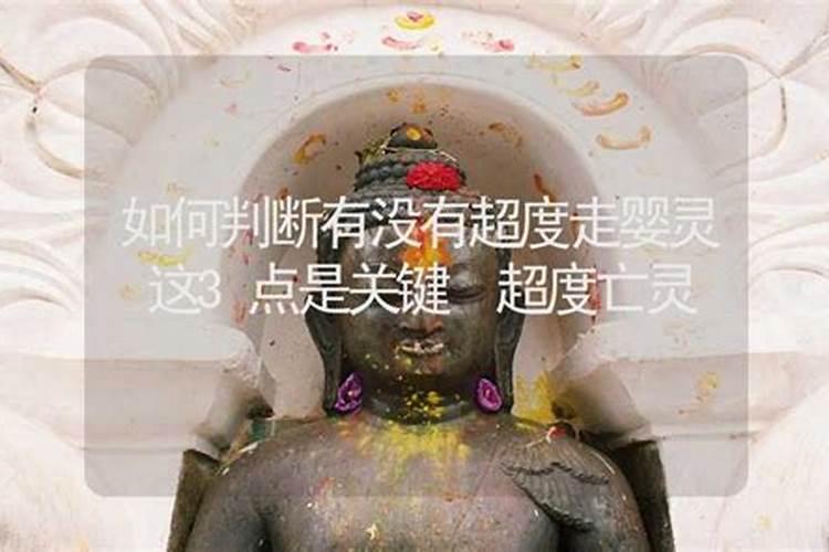 属兔的女和属鼠男相配吗？如果在一起会有什么后果