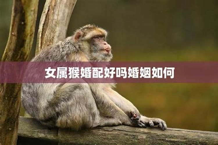 属猴女2025年全年运势运程详解