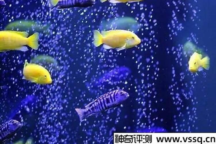 梦见墙壁被铲的预兆