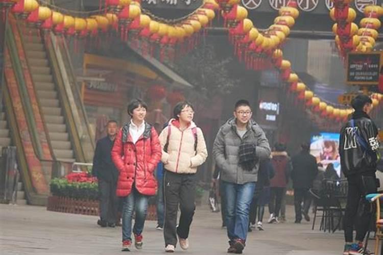 2025年鸡人的全年运势如何