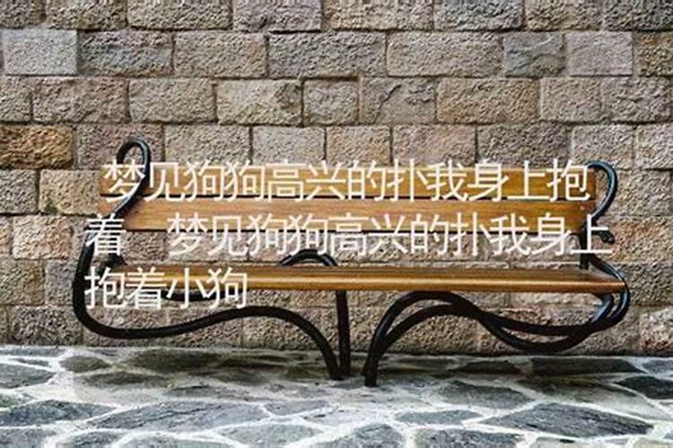 男属猴配与什么属相最好 属猴男的和什么属相最配