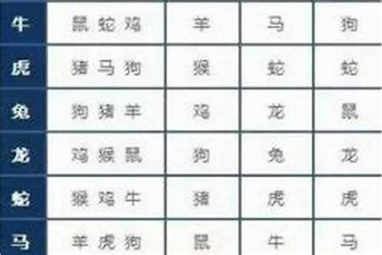 属相不合就不能成为夫妻吗？