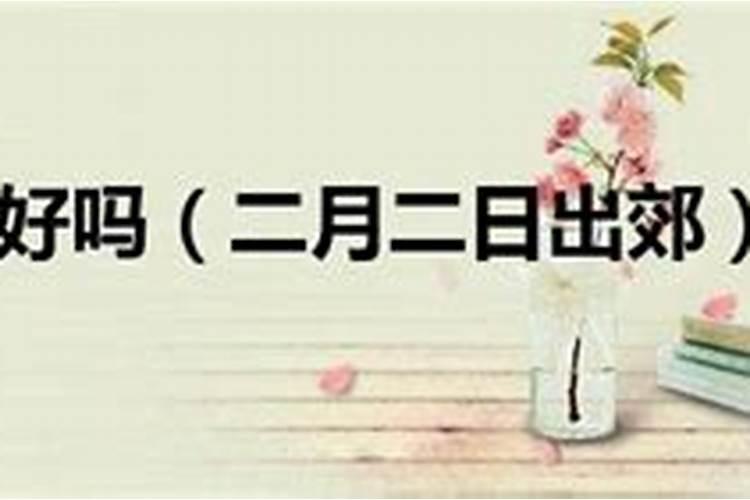 二月二的生日,什么时辰好