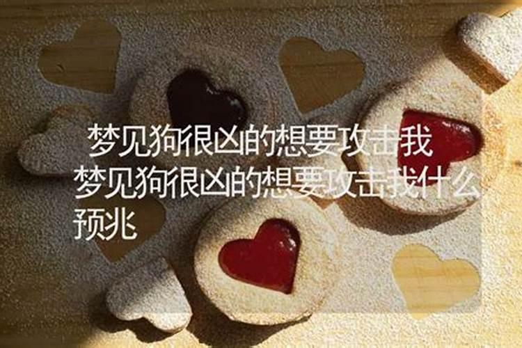 鸡年生人婚配最佳属相