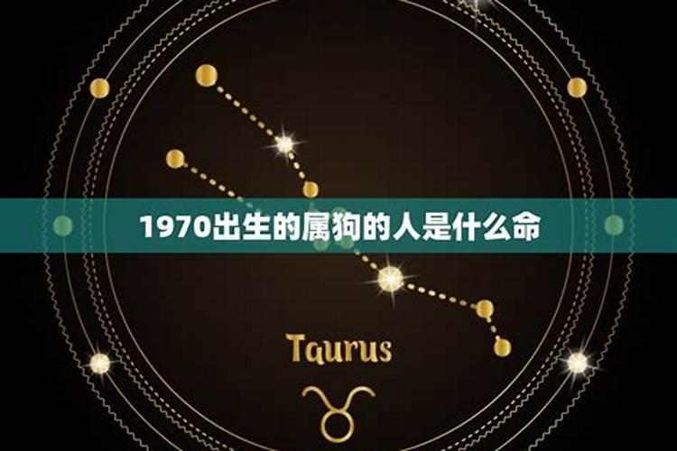 阳江市金鸡寺清明节开放吗