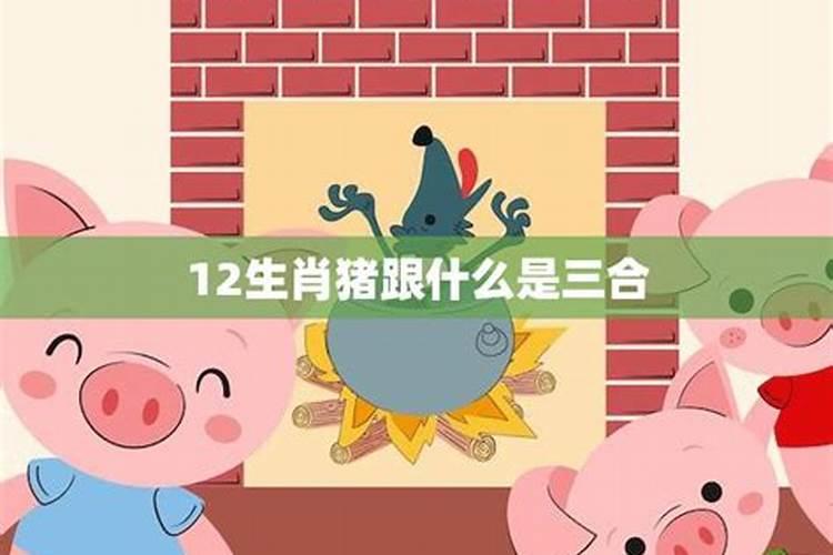 属鸡和属猪八字合不合