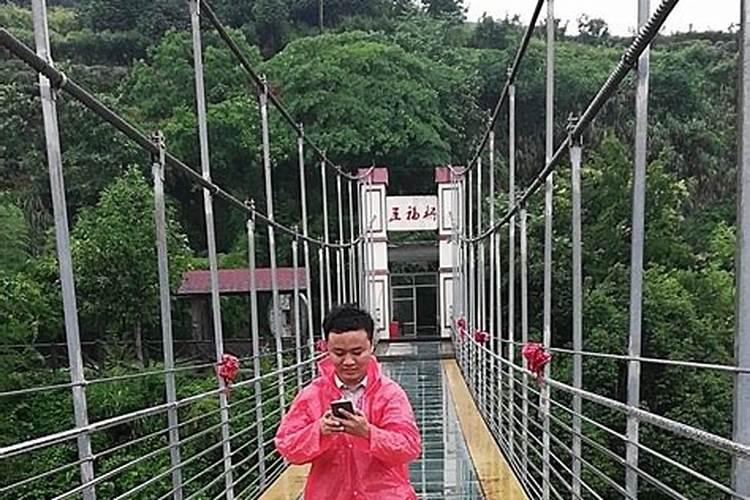 济南工地惊现“太岁”,这真的是可遇不可求的“肉灵芝”吗？