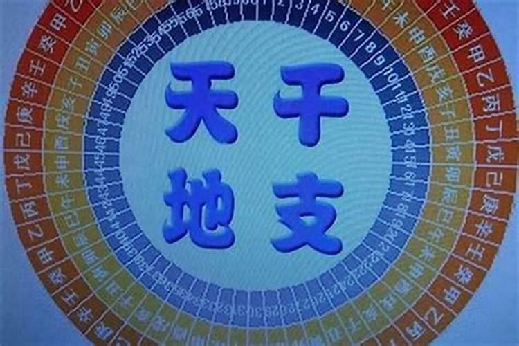 男女八字合婚地支相合,八字合婚怎么才算合啊