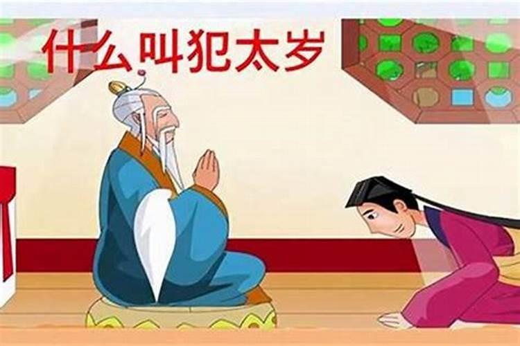 女记者太岁是什么梗