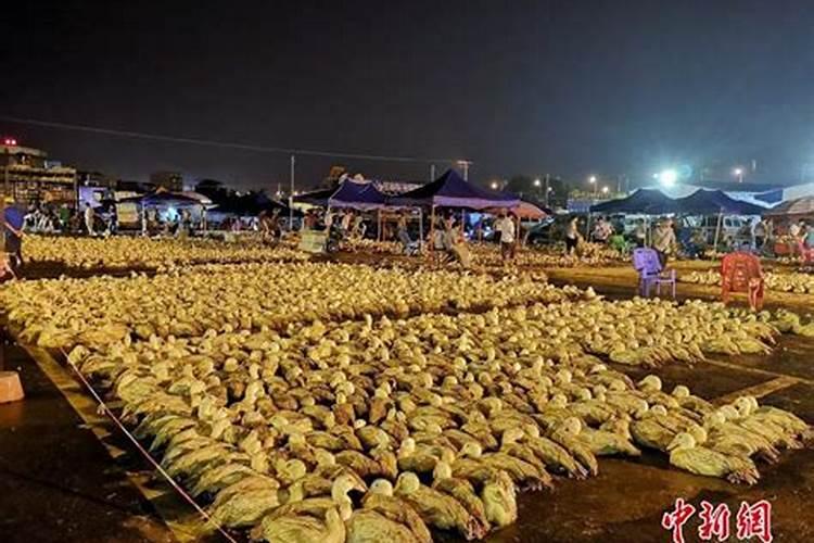 周易怎么用生日推算
