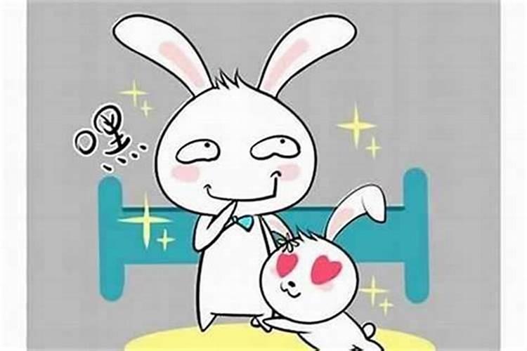 属兔男2024年全年运势运程如何
