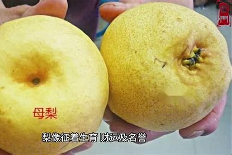 做梦梦见梨 梦见摘梨是什么意思