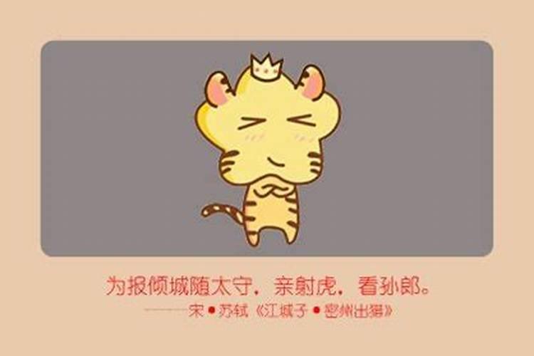属虎人的一生运势如何,属虎的人命运好吗？