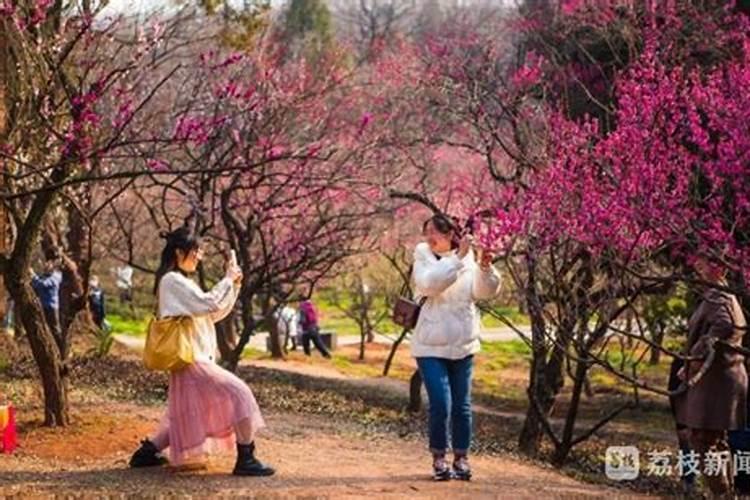 在全国的各个民族,除了汉族,其他民族会过中秋节吗？