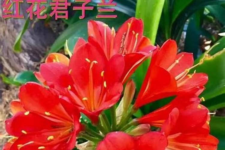 八字命理看看最聪明的人的八字特征!