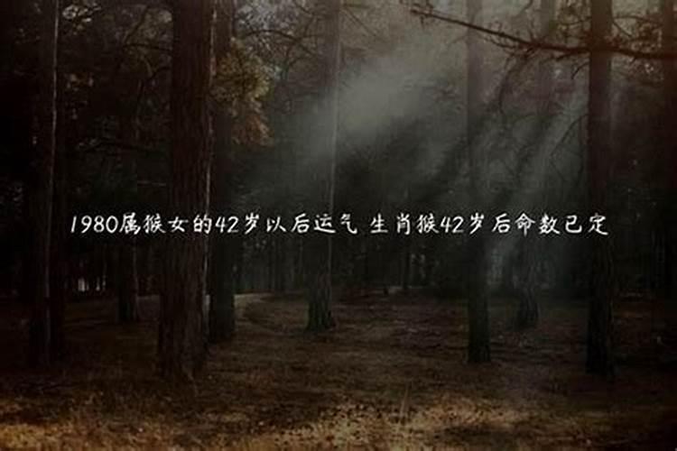 本命年能上坟扫墓吗