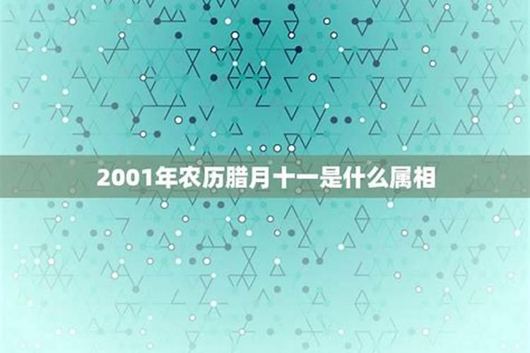 云南陆良8.26事件的前因后果