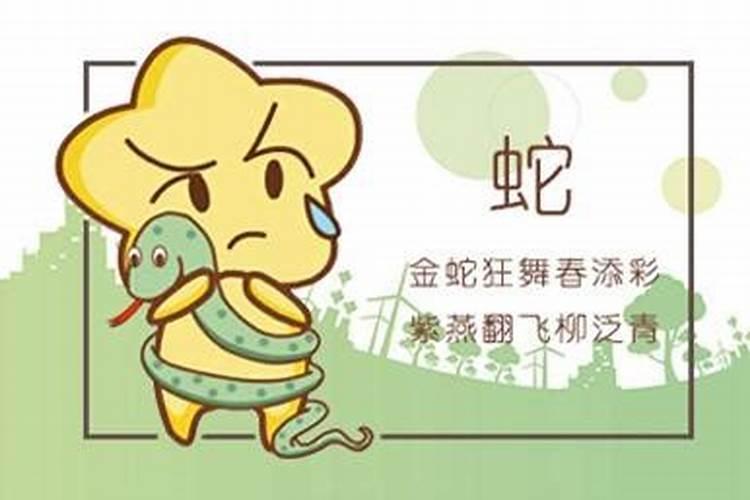 合姻缘:属鼠的女人与属蛇男八字好吗 婚姻怎么样