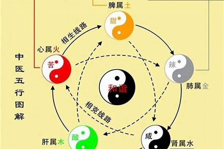 八字五行木多的女人命好吗