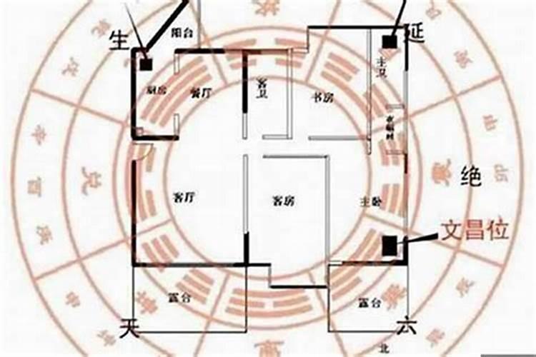 家里风水聚财最快10种方法,什么方法最好